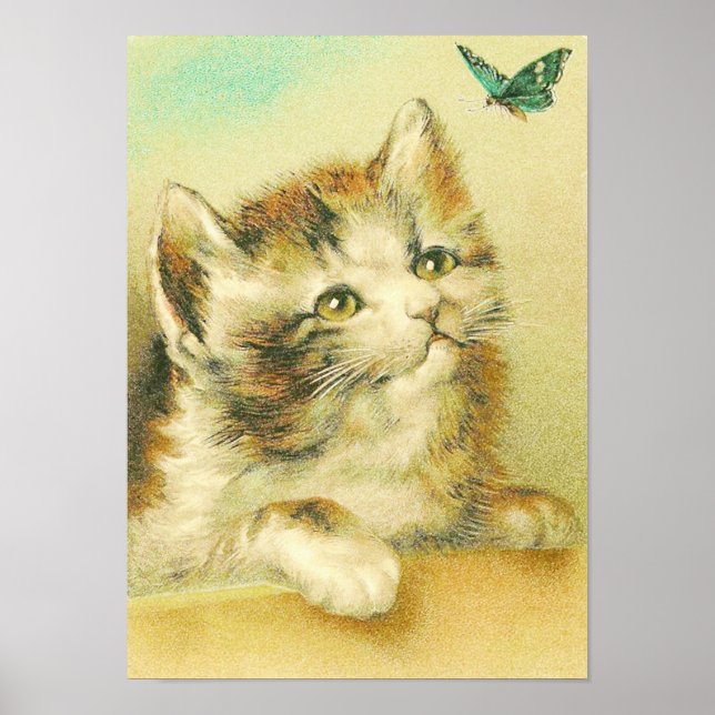 Affiches Kitten Et Papillon Vintage (Devant)