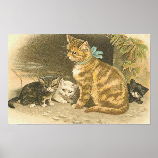 Affiches Kitten vintage (Devant)