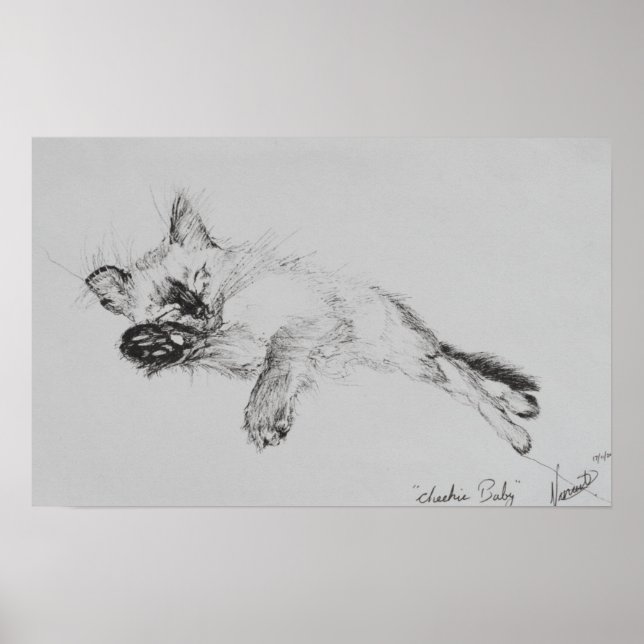 Affiches Kitty 'Baby' (Devant)