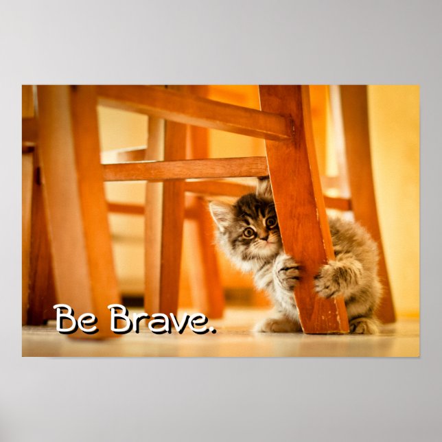 Affiches Kitty Sous Présidence (Devant)