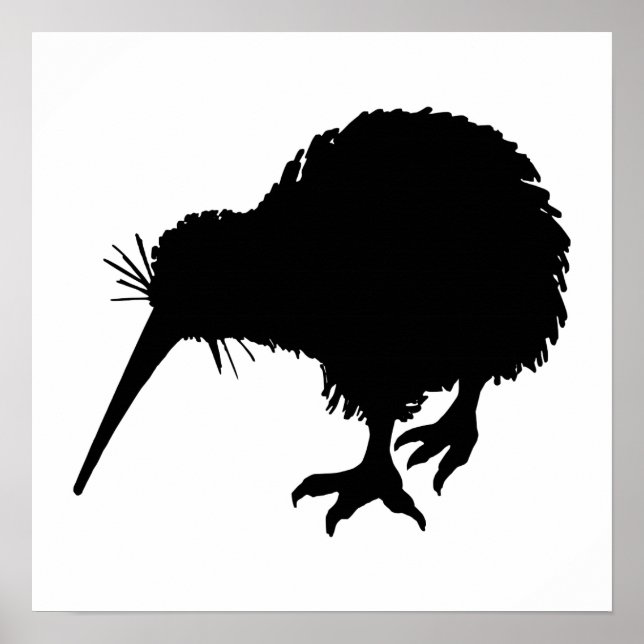 Affiches Kiwi Bird Silhouette (Devant)