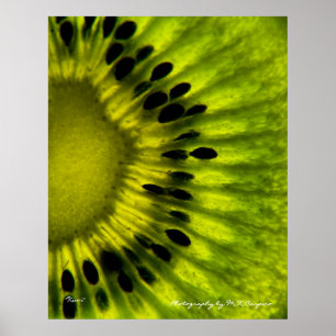 Affiches Kiwi Wall Art