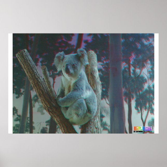Affiches Koala 3D Anaglyph (Devant)