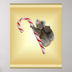 Affiches Koala Bear et Joey Cub Candy Cane