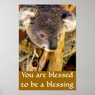 Affiches Koala Bear & Message_