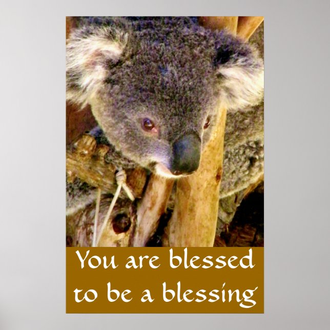 Affiches Koala Bear & Message_ (Devant)