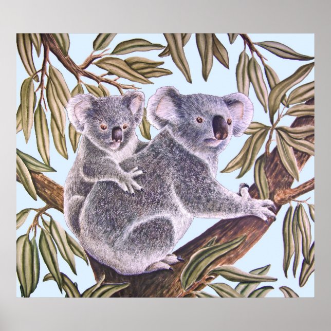 Affiches Koala et bébé en Eucalyptus Tree (Devant)