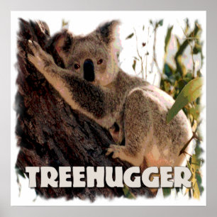 Affiches koala treehugger