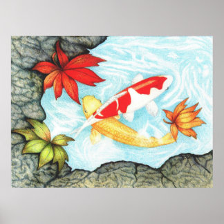 Affiches Koi Pond