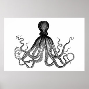 Affiches Kraken - Octopus géant noir (extra large)