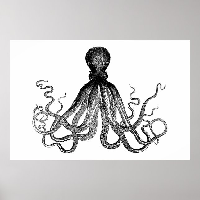 Affiches Kraken - Octopus géant noir (extra large) (Devant)