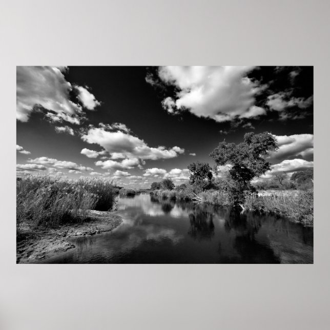 Affiches Kruger Quiescence (Devant)