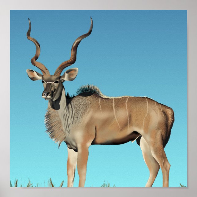 Affiches Kudu JVG (Devant)