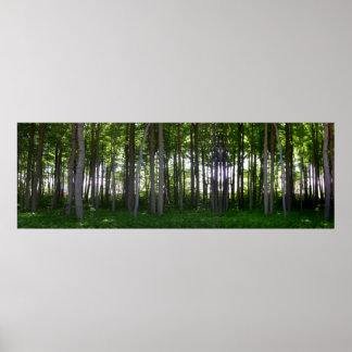 Affiches Küstenschutzwald.