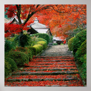 Affiches Kyoto, Feuilles d'automne