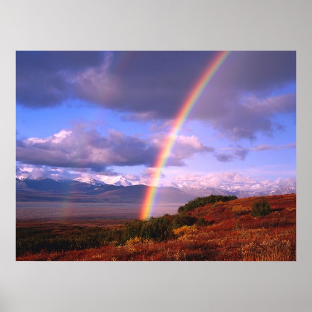 Affiches La beauté de Rainbow (Devant)