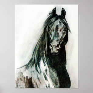 Affiches La beauté noire