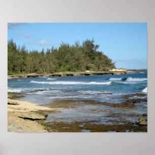 Affiches La belle baie de tortue dans Oahu Hawaï
