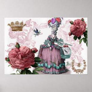 Affiches la cage aux oiseaux (The Birdcage)