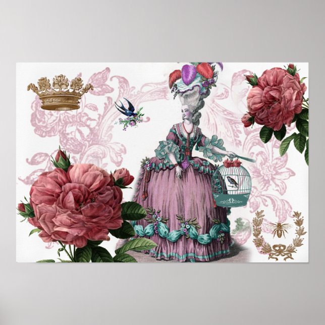 Affiches la cage aux oiseaux (The Birdcage) (Devant)