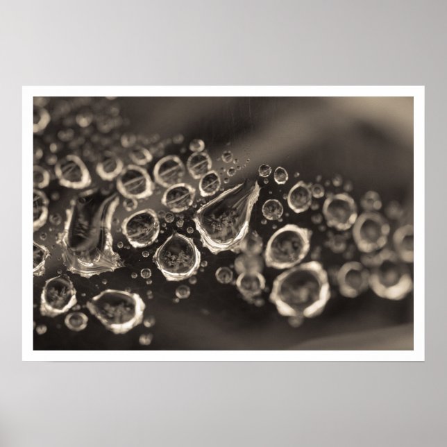 Affiches la chaussure tombe (Devant)