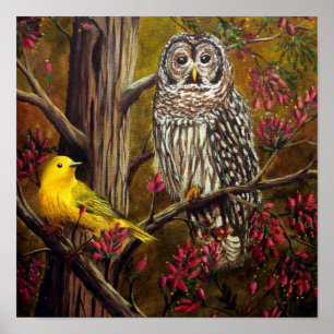 Affiches La Chouette et les Canaries