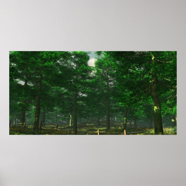 Affiches La clarté de la nature - extrême (Devant)