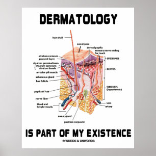 Affiches La Dermatologie Fait Partie De Mon Existence (Anat