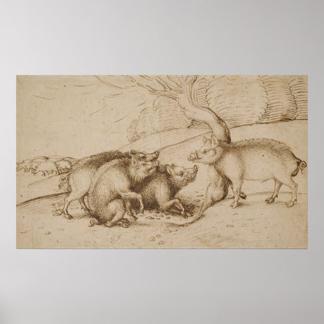 Affiches La famille Boar (Devant)