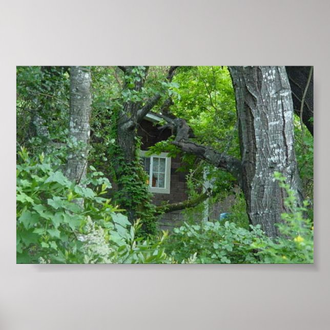 Affiches La fenêtre de la nature (Devant)