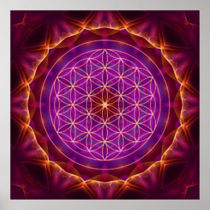 Affiches La Fleur de la vie avec Lila-golden Mandala