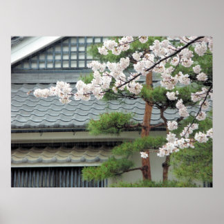 Affiches La floraison dans la pluie