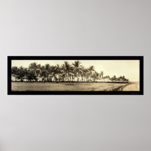 Affiches La Floride verrouille la photo 1912 de pêche