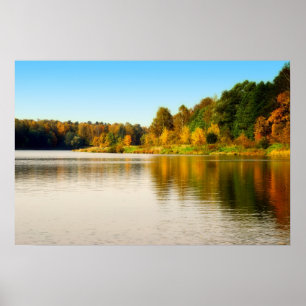 Affiches La forêt d'automne