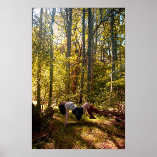 Affiches La forêt des rêves
