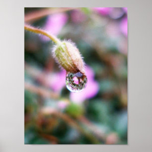 Affiches La goutte de pluie tient la réflexion