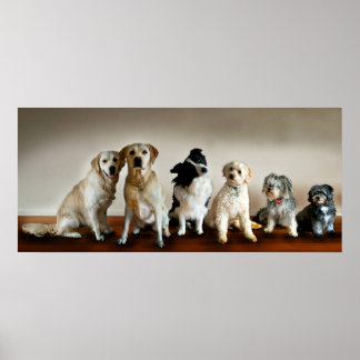 Affiches La ligne vers le haut