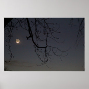 Affiches La Lune et le mercure