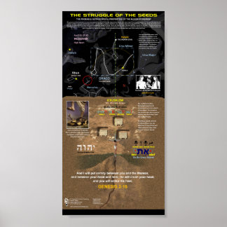 Affiches La lutte des semences