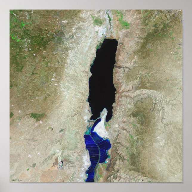 Affiches La mer Morte (Devant)