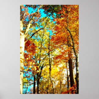 Affiches La Musique Est Art Rainbows