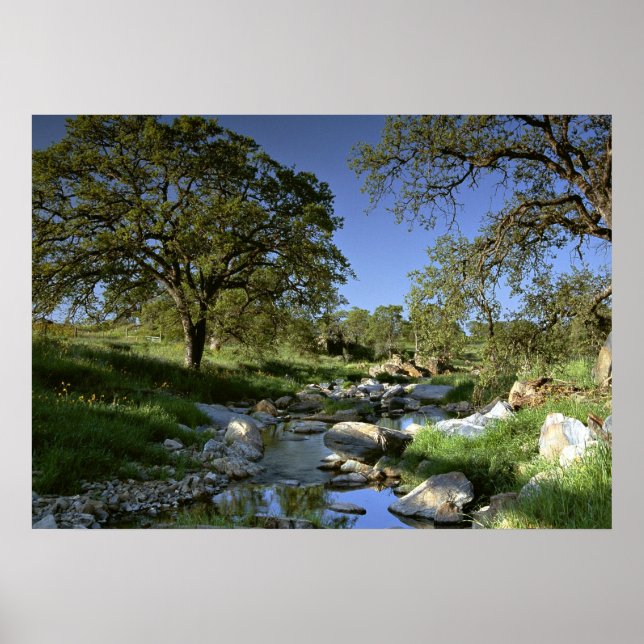 Affiches La nature captivante (Devant)