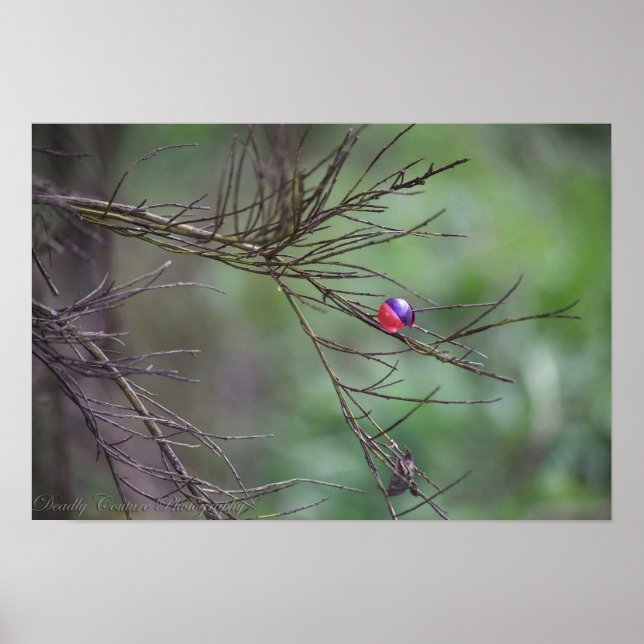 Affiches La Nature Du Paintball (Devant)