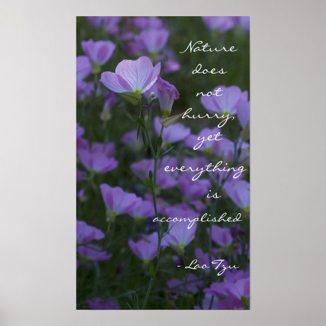 Affiches "La nature ne se presse pas" (Devant)