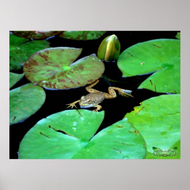 Affiches La Nature Parmi Les Lys (Devant)