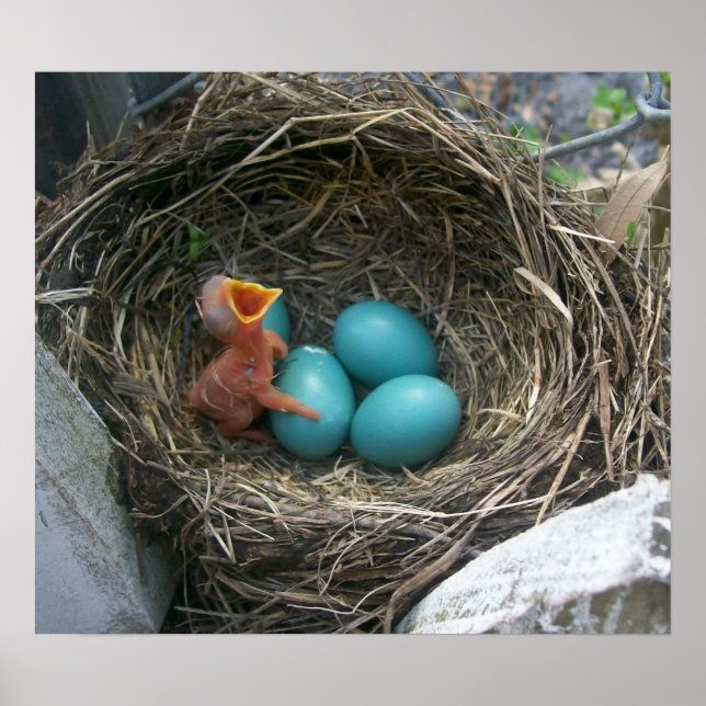 Affiches La nouvelle arrivée du printemps (Devant)