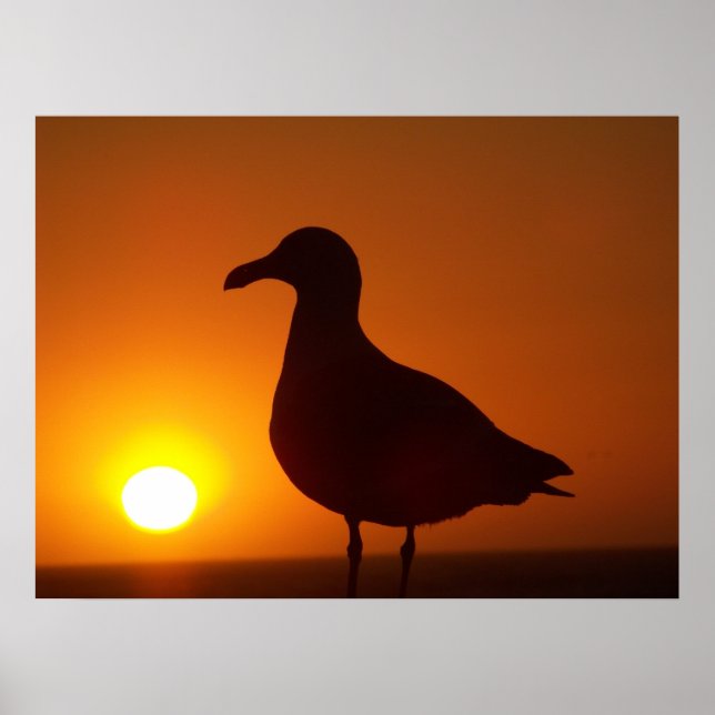 Affiches La paix soit morte (Devant)