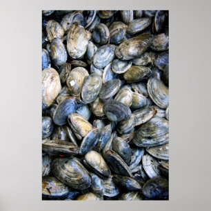Affiches La palourde font cuire au four