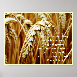 Affiches La parabole de l'affiche Sower