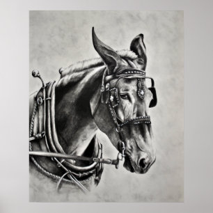 Affiches La patience est une vertu